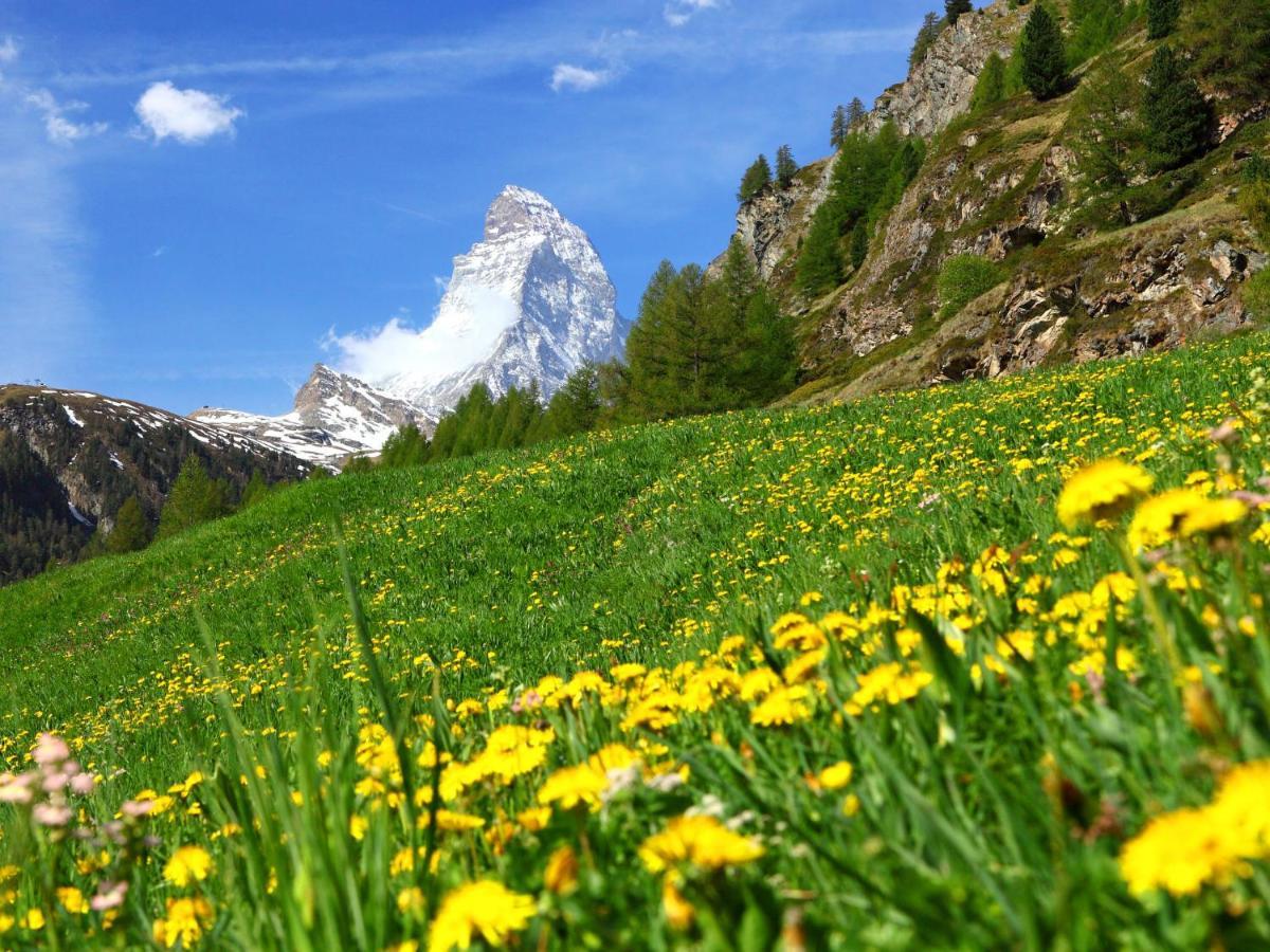Apartment Bellevue-6 By Interhome Zermatt Kültér fotó
